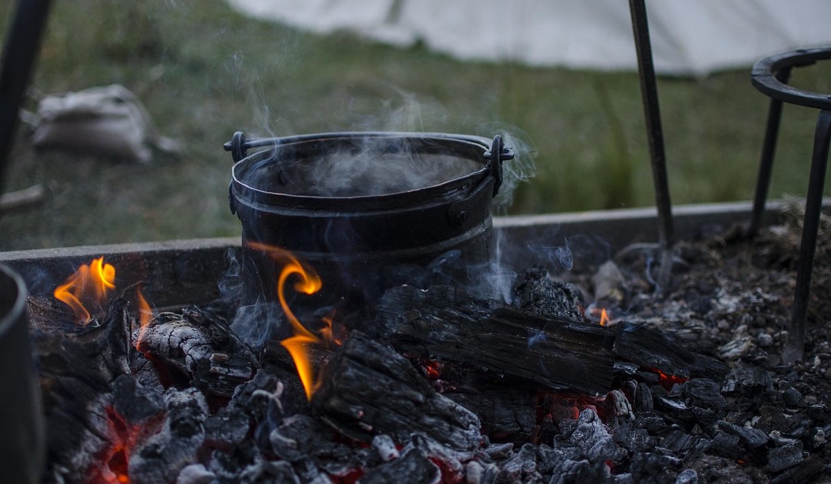 Choosing Safe Firewood for British Woodlands