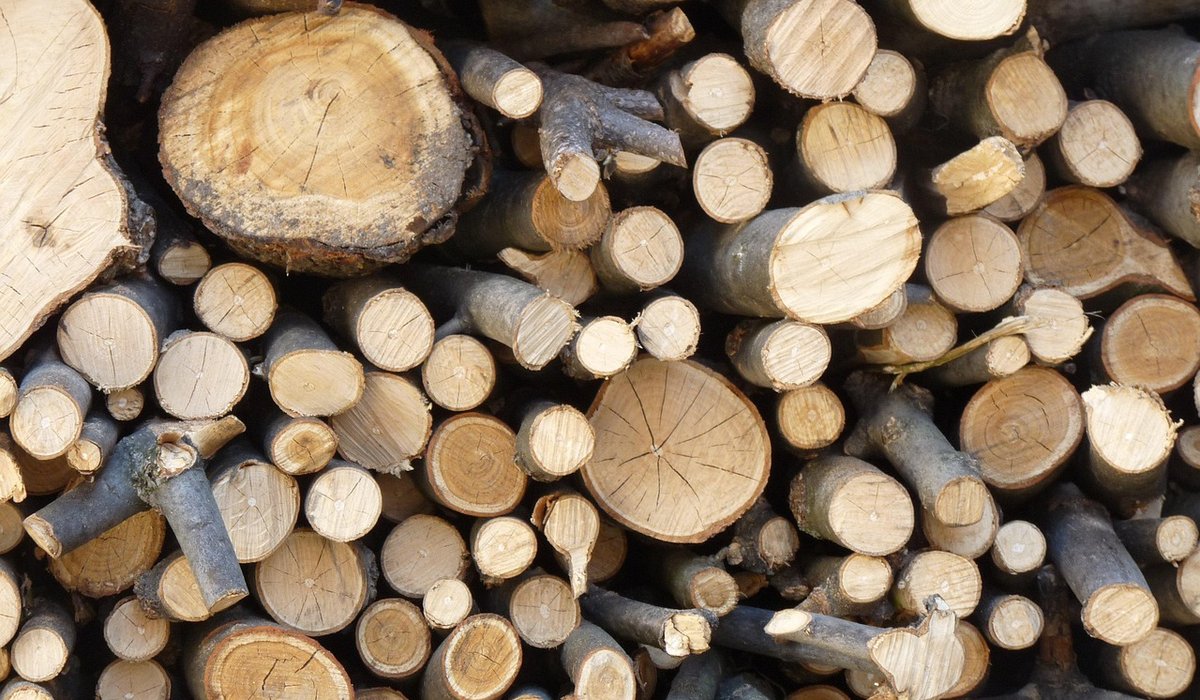 Spring Foraging and Fire Lighting Traditions